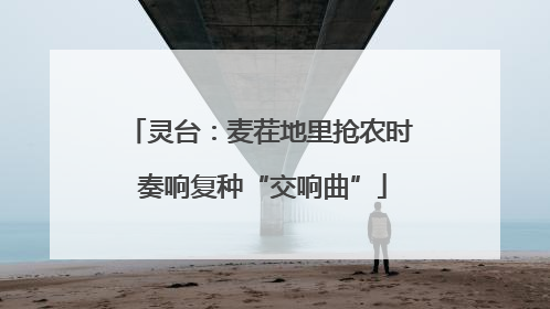 灵台：麦茬地里抢农时 奏响复种“交响曲”