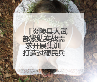 炎陵县人武部紧贴实战需求开展集训 打造过硬民兵队伍