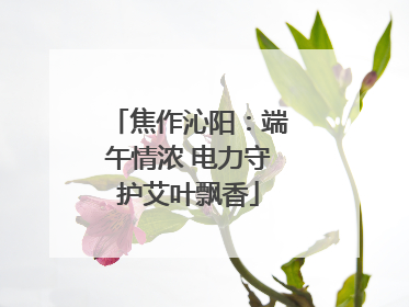 焦作沁阳：端午情浓 电力守护艾叶飘香