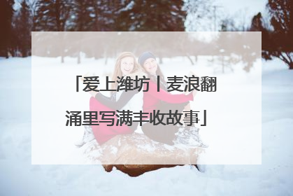 爱上潍坊丨麦浪翻涌里写满丰收故事