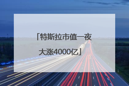 特斯拉市值一夜大涨4000亿