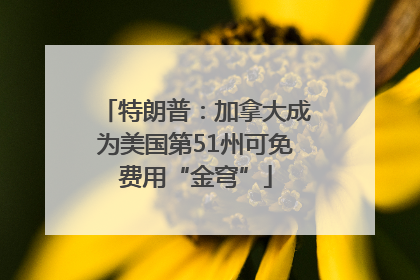 特朗普：加拿大成为美国第51州可免费用“金穹”