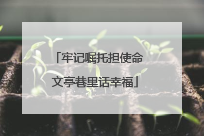 牢记嘱托担使命 文亭巷里话幸福