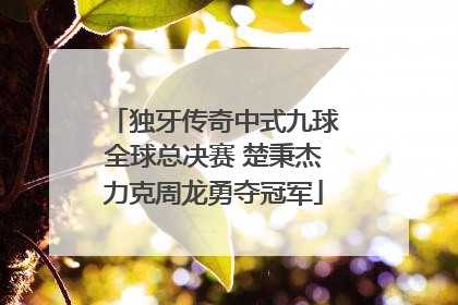 独牙传奇中式九球全球总决赛 楚秉杰力克周龙勇夺冠军