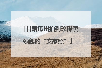 甘肃瓜州拍到珍稀黑颈鹤的“安家照”