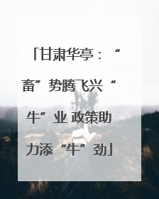 甘肃华亭：“畜”势腾飞兴“牛”业 政策助力添“牛”劲