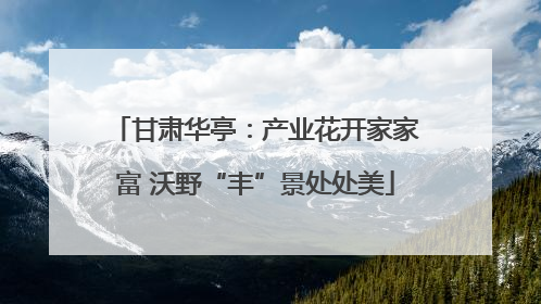 甘肃华亭:产业花开家家富 沃野“丰”景处处美