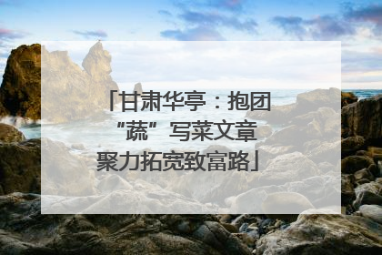 甘肃华亭：抱团“蔬”写菜文章 聚力拓宽致富路