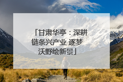 甘肃华亭：深耕链条兴产业 逐梦沃野绘新景