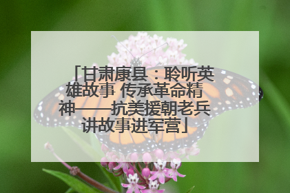 甘肃康县：聆听英雄故事 传承革命精神——抗美援朝老兵讲故事进军营