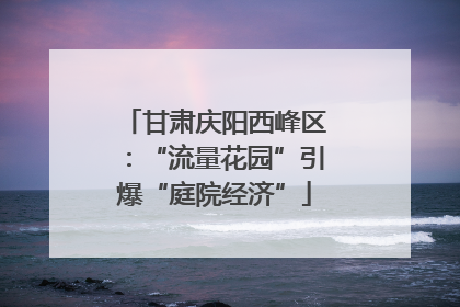 甘肃庆阳西峰区：“流量花园”引爆“庭院经济”