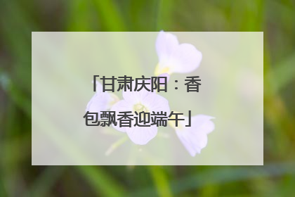 甘肃庆阳：香包飘香迎端午