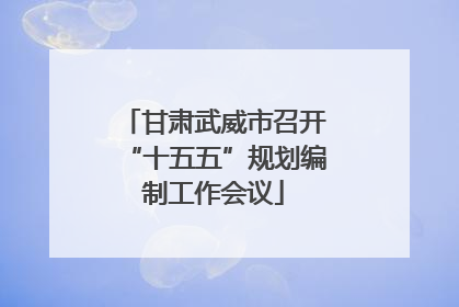甘肃武威市召开“十五五”规划编制工作会议