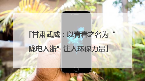 甘肃武威：以青春之名为“陇电入浙”注入环保力量