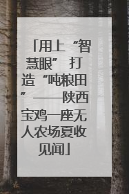 用上“智慧眼” 打造“吨粮田”——陕西宝鸡一座无人农场夏收见闻