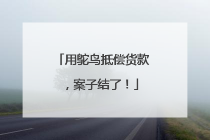 用鸵鸟抵偿货款，案子结了！