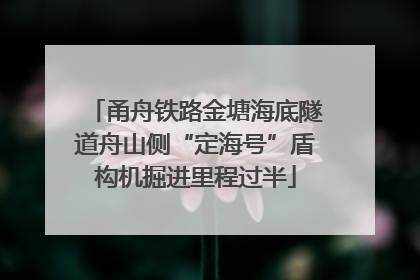 甬舟铁路金塘海底隧道舟山侧“定海号”盾构机掘进里程过半