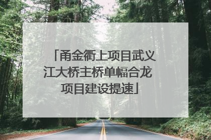 甬金衢上项目武义江大桥主桥单幅合龙 项目建设提速