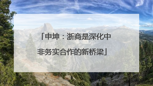 申坤：浙商是深化中非务实合作的新桥梁