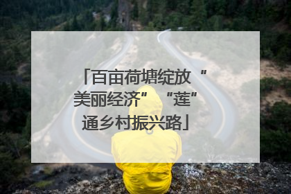 百亩荷塘绽放“美丽经济”“莲”通乡村振兴路