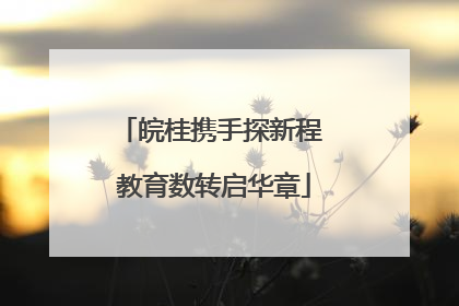 皖桂携手探新程 教育数转启华章