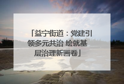 益宁街道：党建引领多元共治 绘就基层治理新画卷