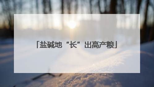 盐碱地“长”出高产粮