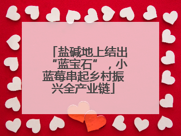 盐碱地上结出“蓝宝石”，小蓝莓串起乡村振兴全产业链