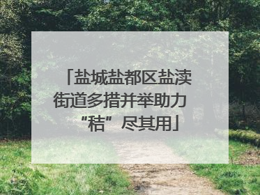 盐城盐都区盐渎街道多措并举助力“秸”尽其用