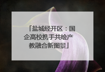 盐城经开区：国企高校携手共绘产教融合新图景