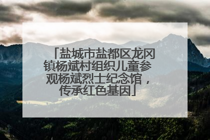盐城市盐都区龙冈镇杨斌村组织儿童参观杨斌烈士纪念馆，传承红色基因