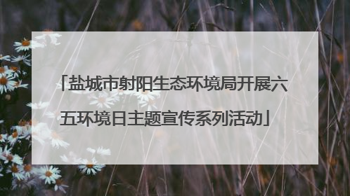 盐城市射阳生态环境局开展六五环境日主题宣传系列活动