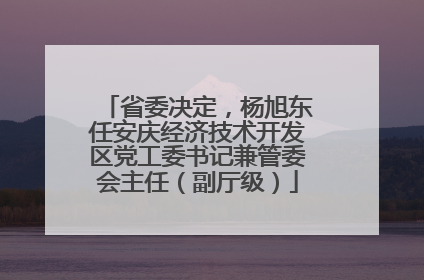 省委决定，杨旭东任安庆经济技术开发区党工委书记兼管委会主任（副厅级）