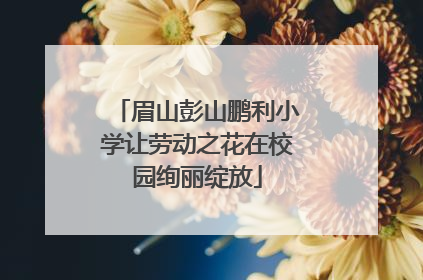 眉山彭山鹏利小学让劳动之花在校园绚丽绽放