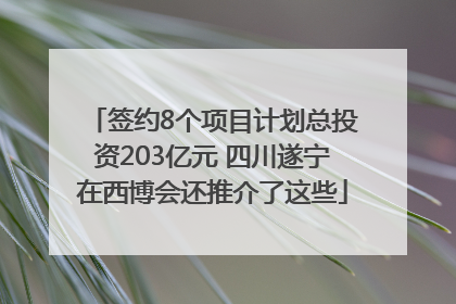 签约8个项目计划总投资203亿元 四川遂宁在西博会还推介了这些