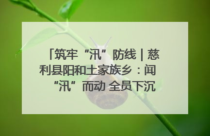 筑牢“汛”防线｜慈利县阳和土家族乡：闻“汛”而动 全员下沉筑牢防汛“安全堤”