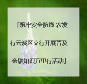 筑牢安全防线 农发行云溪区支行开展普及金融知识万里行活动