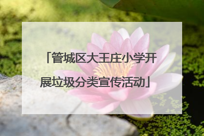 管城区大王庄小学开展垃圾分类宣传活动