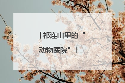 祁连山里的“动物医院”