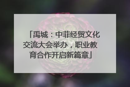 禹城：中菲经贸文化交流大会举办，职业教育合作开启新篇章