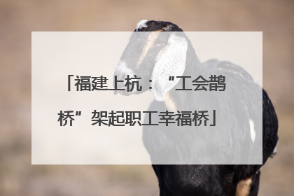 福建上杭：“工会鹊桥”架起职工幸福桥