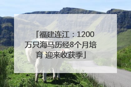 福建连江：1200万只海马历经8个月培育 迎来收获季