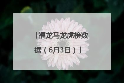 福龙马龙虎榜数据（6月3日）