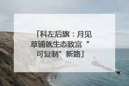 科左后旗：月见草铺就生态致富“可复制”新路