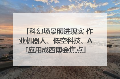 科幻场景照进现实 作业机器人、低空科技、AI应用成西博会焦点