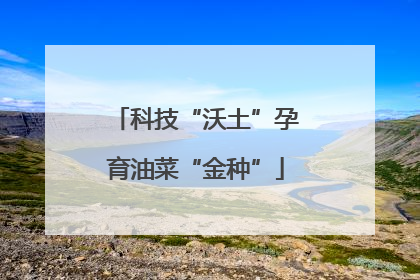 科技“沃土”孕育油菜“金种”