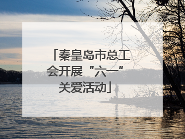 秦皇岛市总工会开展“六一”关爱活动