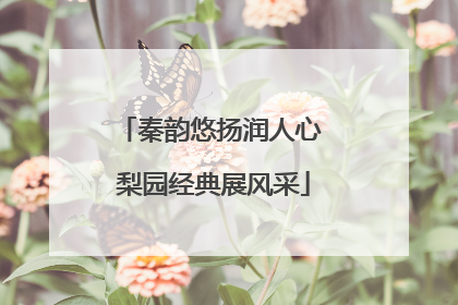 秦韵悠扬润人心 梨园经典展风采