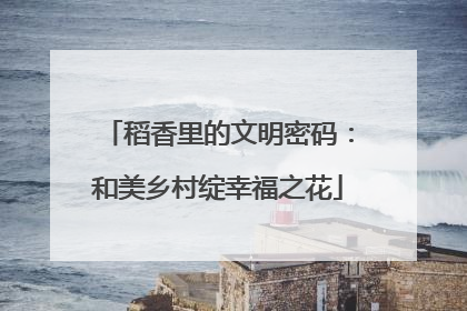 稻香里的文明密码：和美乡村绽幸福之花
