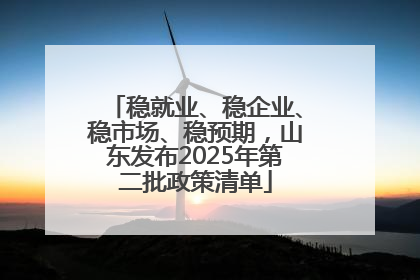 稳就业、稳企业、稳市场、稳预期，山东发布2025年第二批政策清单